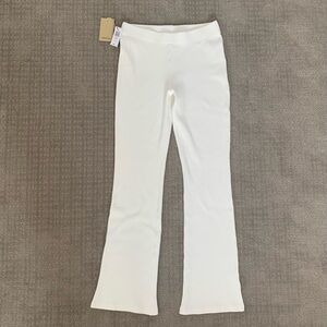 NWT Aritzia Parker pants